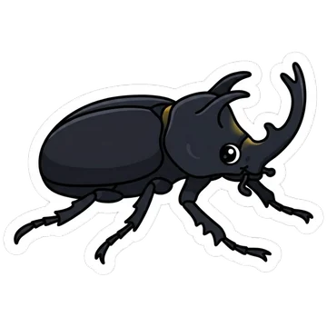 Sticker of Actaeon beetle