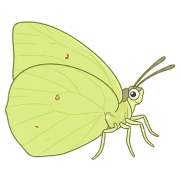 Sticker of African migrant