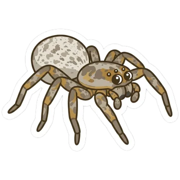 Kleeps: African social spider
