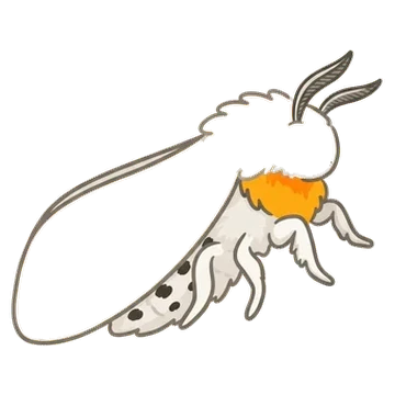 Sticker of Agreeable tiger moth