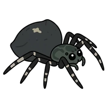Sticker of Angular orbweaver spider