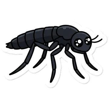 Kleeps: Antarctic midge