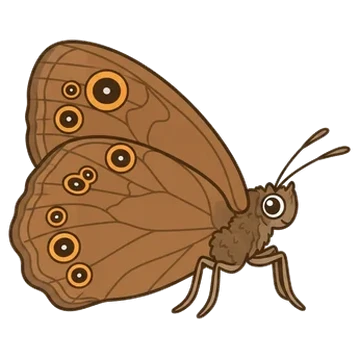 Sticker of Appalachian brown