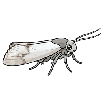 Sticker of Apple leafminer