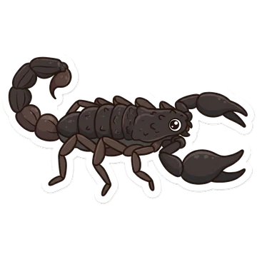 Kleeps: Arabian fat-tailed scorpion