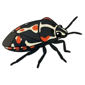 Sticker of Bagrada bug