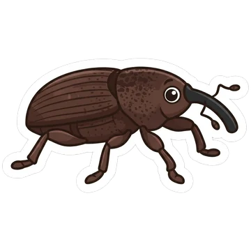 Kleeps: Banana weevil