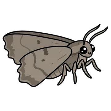 Sticker of Barberry geometer moth