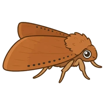 Sticker of Beaded chestnut