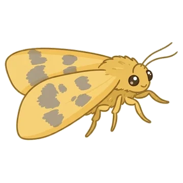 Sticker of Beggar moth