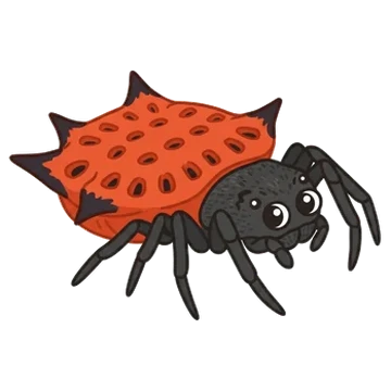 Sticker of Biscuit boxkite