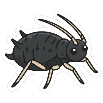 Sticker of Black bean aphid