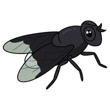 Sticker of Black bee fly