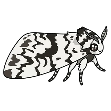 Sticker of Black zigzag moth