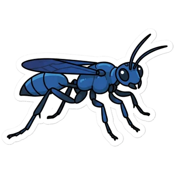 Kleeps: Blue mud dauber