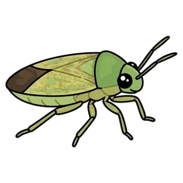 Sticker of Broken-backed bug