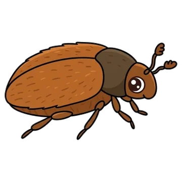 Sticker of Brown carpet beetle