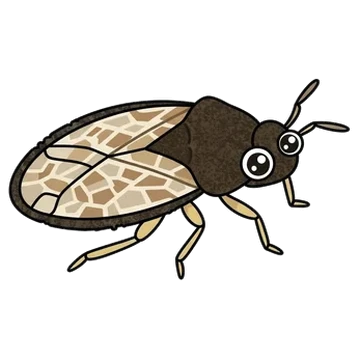 Sticker of Bugloss lace bug