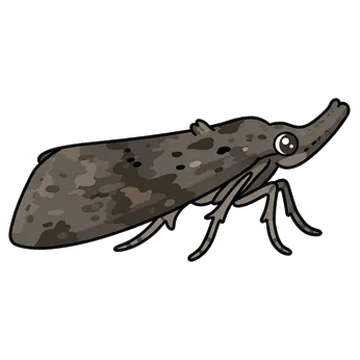 Sticker of Buttoned snout