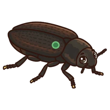 Sticker of Cedar beetle