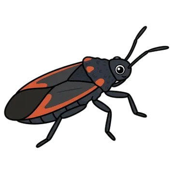 Sticker of Charcoal seed bug