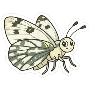 Kleeps: Checkered white