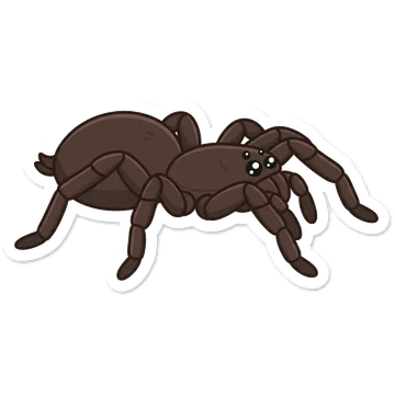 Sticker of Chinese bird spider