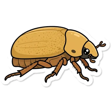 Sticker of Christmas beetle