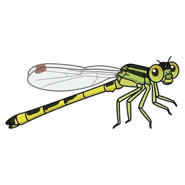 Sticker of Citrine forktail