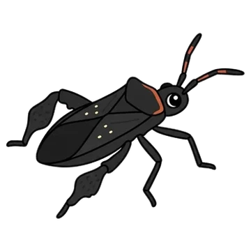 Sticker of Citron bug