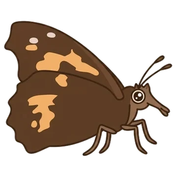 Sticker of Common beak