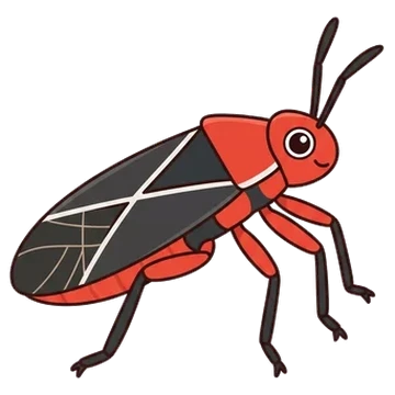 Sticker of Common cotton stainer bug