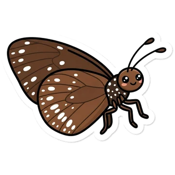 Kleeps: Common crow butterfly