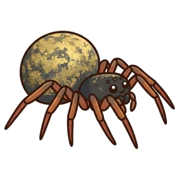 Sticker of Common eastern ray spider