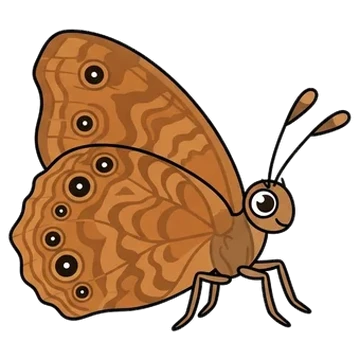 Sticker of Common evening brown