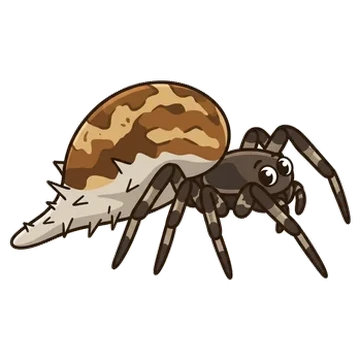 Sticker of Common garbage-line web spider