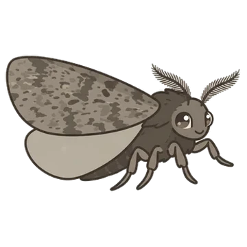 Sticker of Common gluphisia moth
