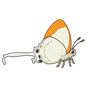 Sticker of Common imperial