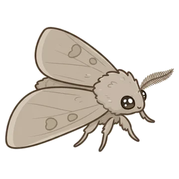 Sticker of Common quaker