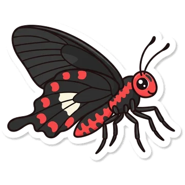 Kleeps: Common rose