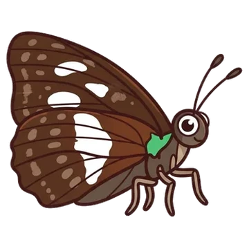 Sticker of Common sailer
