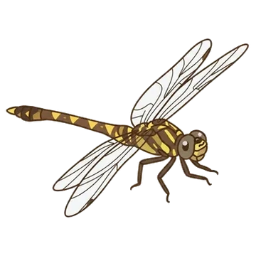 Sticker of Common sanddragon