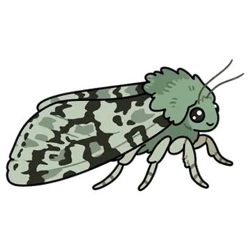 Sticker of Comstock's sallow