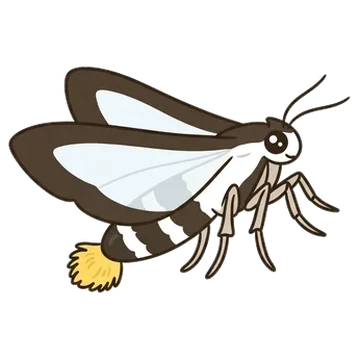 Sticker of Cucumber moth