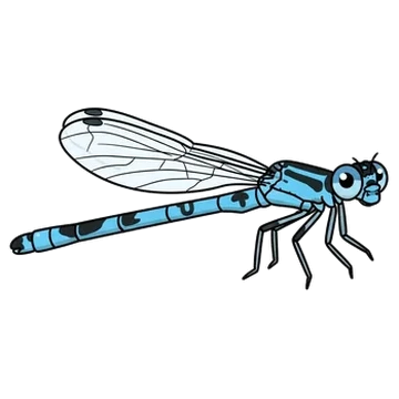 Sticker of Dainty damselfly