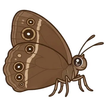 Sticker of Dark-branded bushbrown