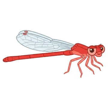 Sticker of Desert firetail