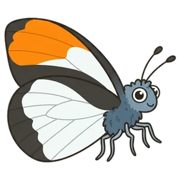 Sticker of Desert orange tip