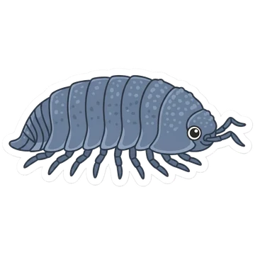 Sticker of Desert woodlouse