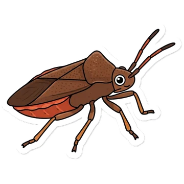 Sticker of Dock bug